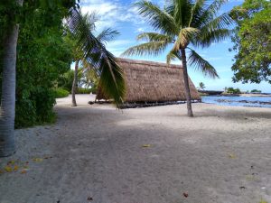 Big Island